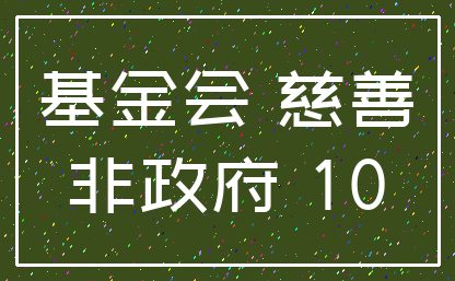 基金会 慈善_非政府 10