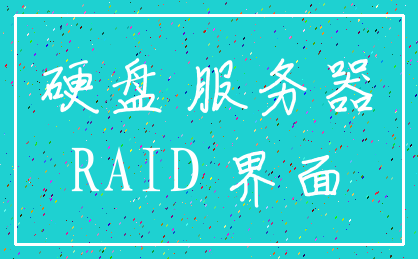 硬盘 服务器_RAID 界面