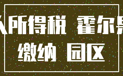 个人所得税 霍尔果斯_缴纳 园区