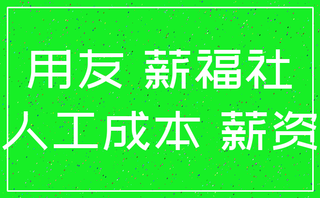 用友 薪福社_人工成本 薪资