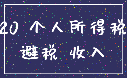 20 个人所得税_避税 收入