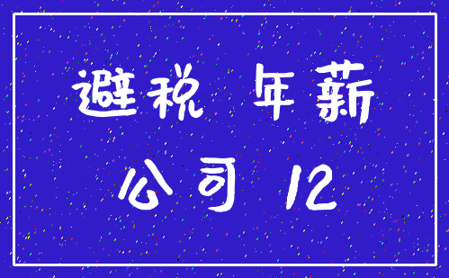 避税 年薪_公司 12