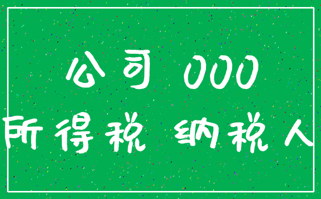 公司 000_所得税 纳税人