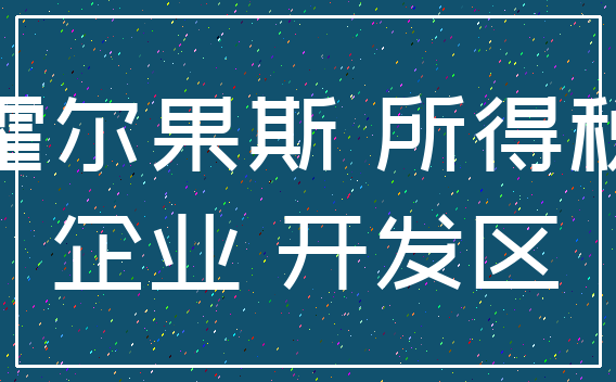 霍尔果斯 所得税_企业 开发区