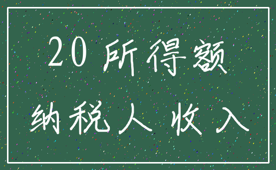 20 所得额_纳税人 收入