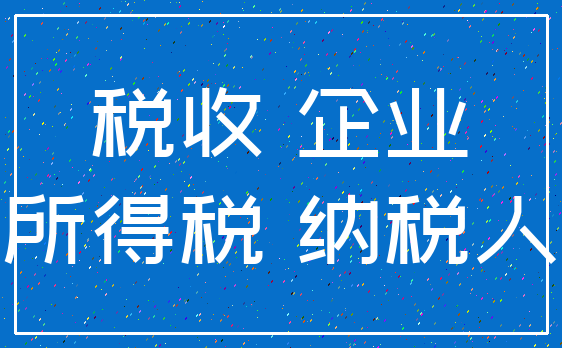 税收 企业_所得税 纳税人