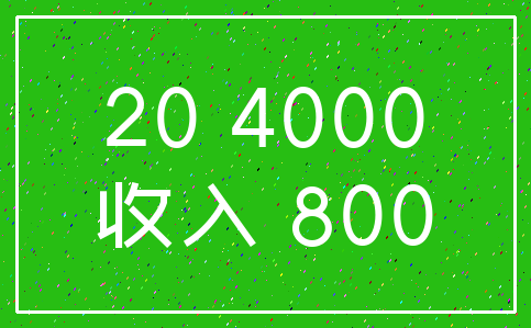 20 4000_收入 800