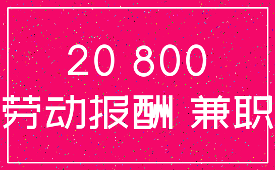 20 800_劳动报酬 兼职