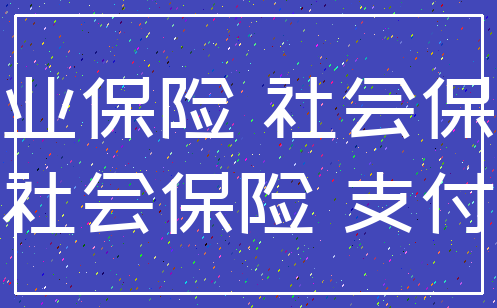 商业保险 社会保障_社会保险 支付