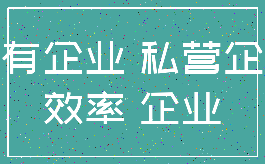 国有企业 私营企业_效率 企业