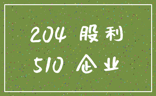 204 股利_510 企业