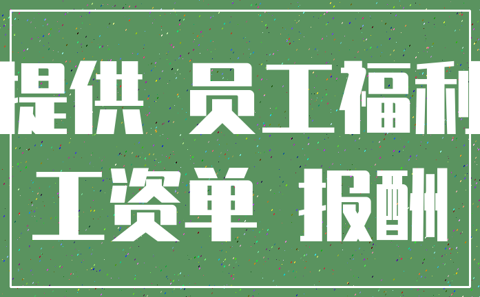 提供 员工福利_工资单 报酬