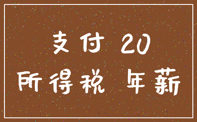 支付 20_所得税 年薪