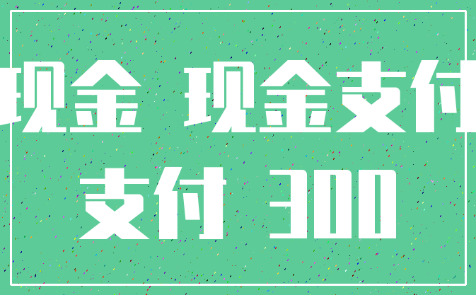 现金 现金支付_支付 300