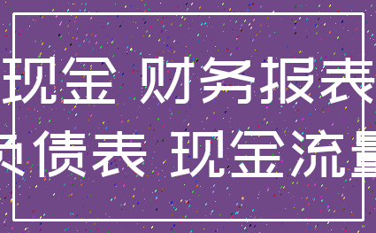 现金 财务报表_负债表 现金流量