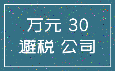 万元 30_避税 公司