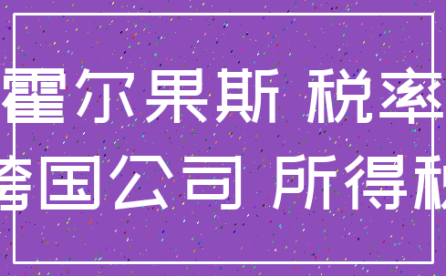 霍尔果斯 税率_跨国公司 所得税