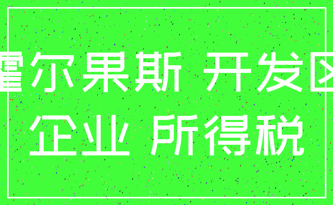 霍尔果斯 开发区_企业 所得税