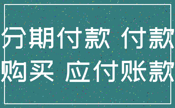 分期付款 付款_购买 应付账款