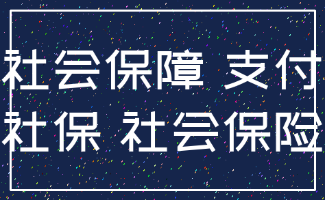 社会保障 支付_社保 社会保险