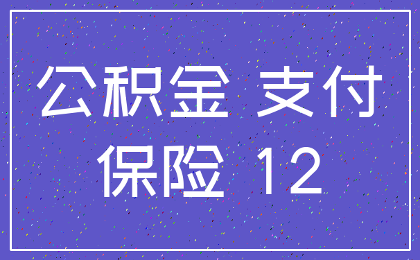 公积金 支付_保险 12