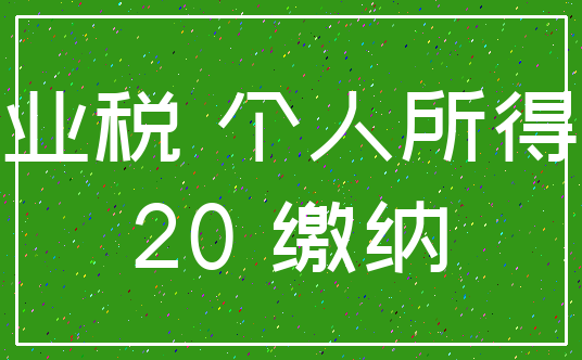 营业税 个人所得税_20 缴纳