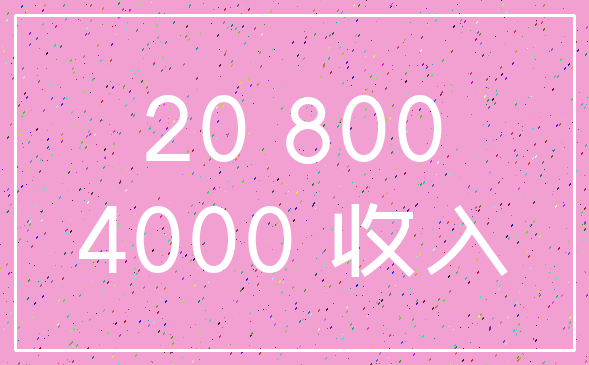 20 800_4000 收入