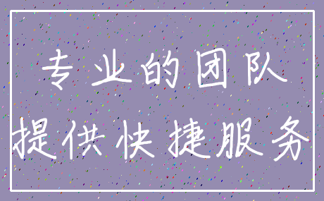 专业的团队_提供快捷服务