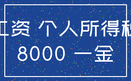 工资 个人所得税_8000 一金