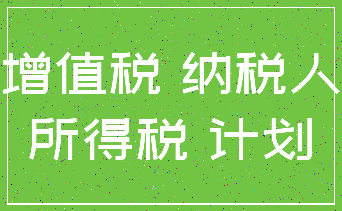 增值税 纳税人_所得税 计划