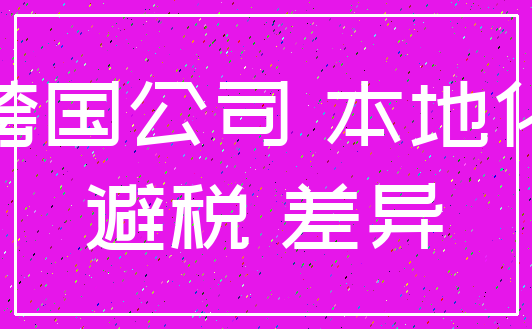 跨国公司 本地化_避税 差异