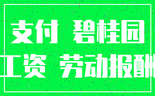 支付 碧桂园_工资 劳动报酬