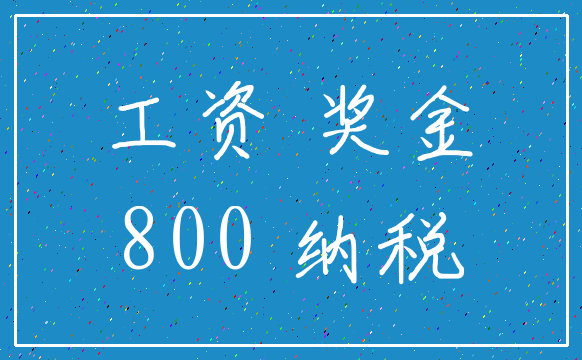 工资 奖金_800 纳税