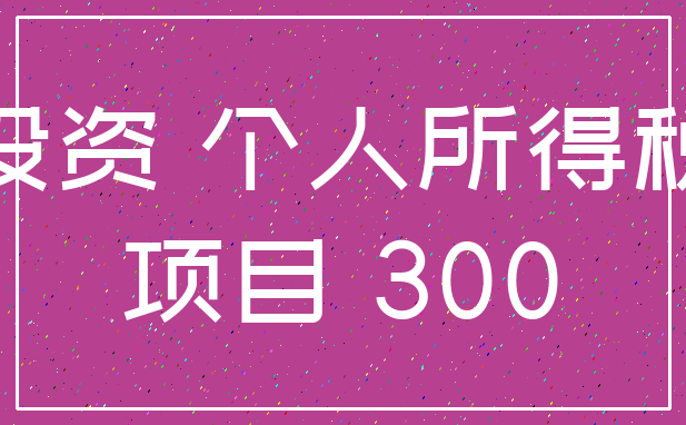 投资 个人所得税_项目 300