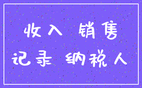 收入 销售_记录 纳税人