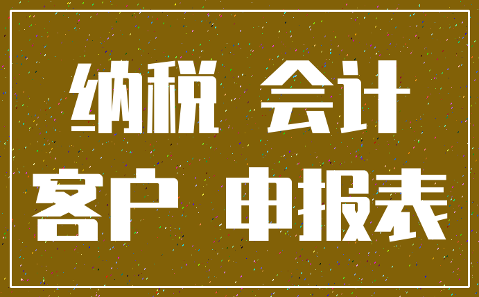 纳税 会计_客户 申报表