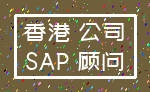 香港 公司_SAP 顾问