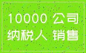 10000 公司_纳税人 销售