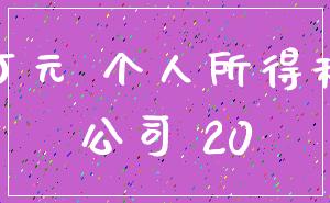 万元 个人所得税_公司 20